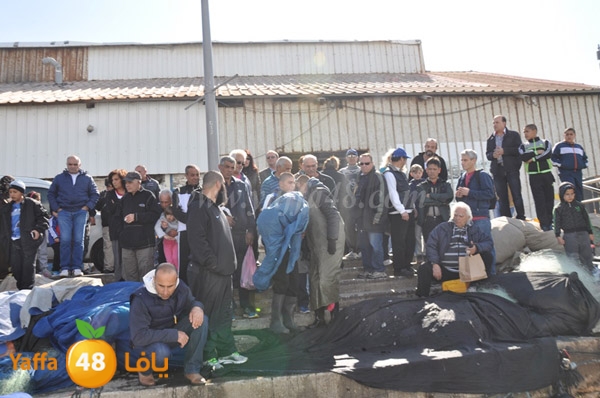 samak denisss (25).JPG